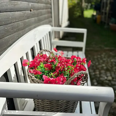 Cozy House 100 Meters From Strandhoved